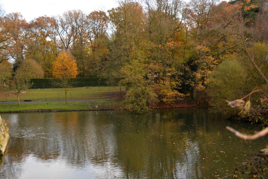 Hotel Haras Des Chartreux Estaimbourg Pokoj fotografie